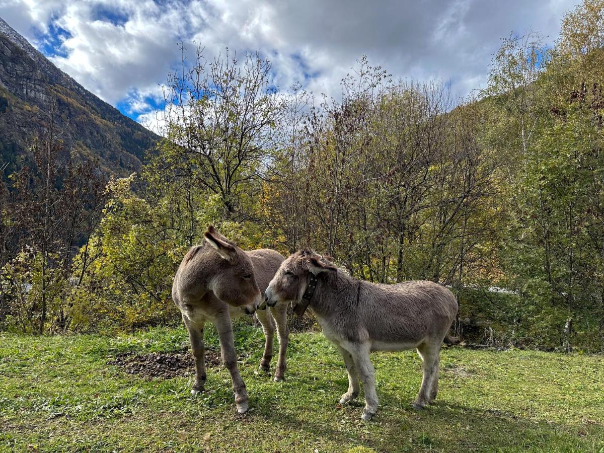 Cozyloge, Orelle & Les 3 Vallees Zewnętrze zdjęcie
